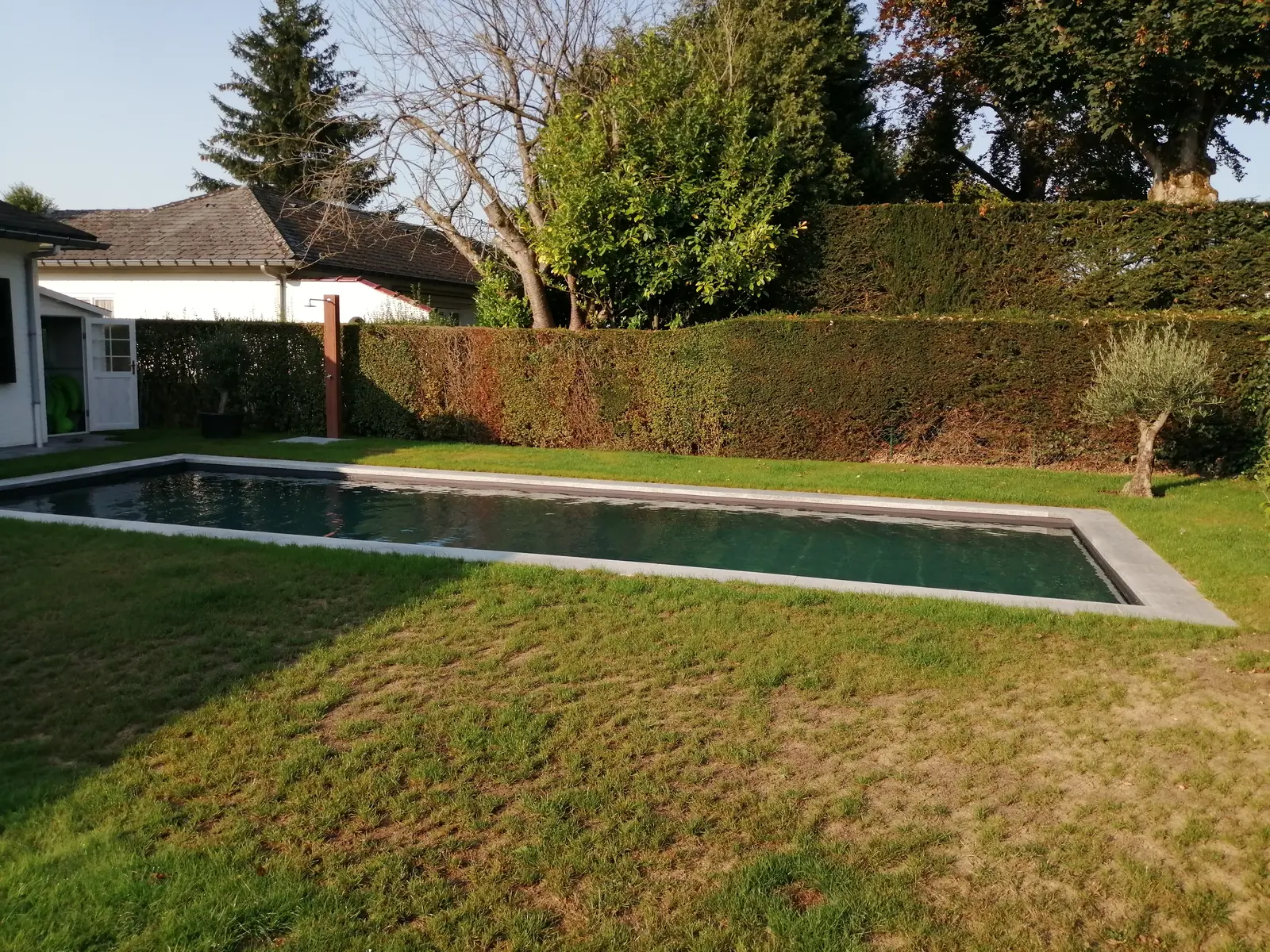 Zwembad in Overijse, donker zwembad in een groene tuin (foto 1 van 6)