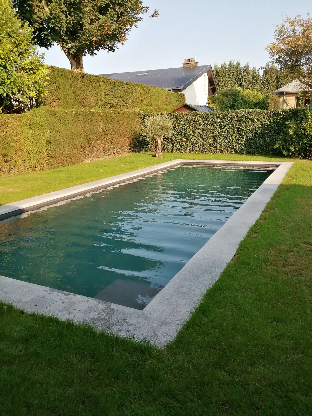 Zwembad in Overijse, donker zwembad in een groene tuin (foto 2 van 6)