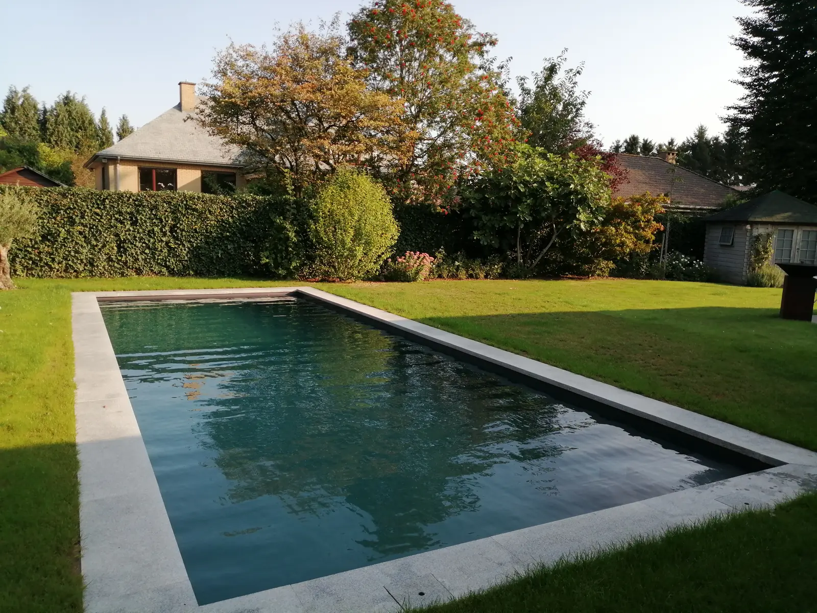 Zwembad in Overijse, donker zwembad in een groene tuin (foto 3 van 6)