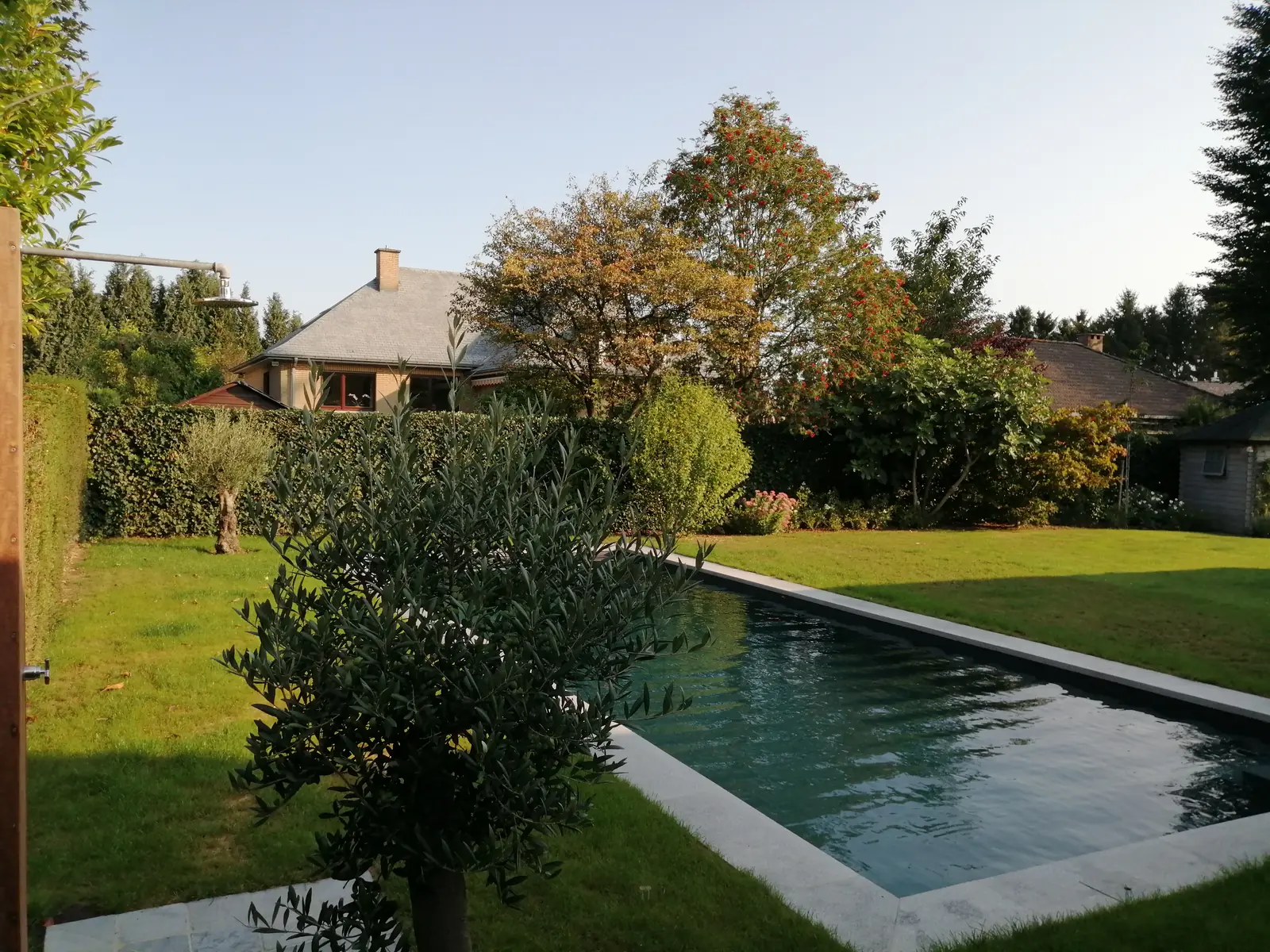 Zwembad in Overijse, donker zwembad in een groene tuin (foto 4 van 6)