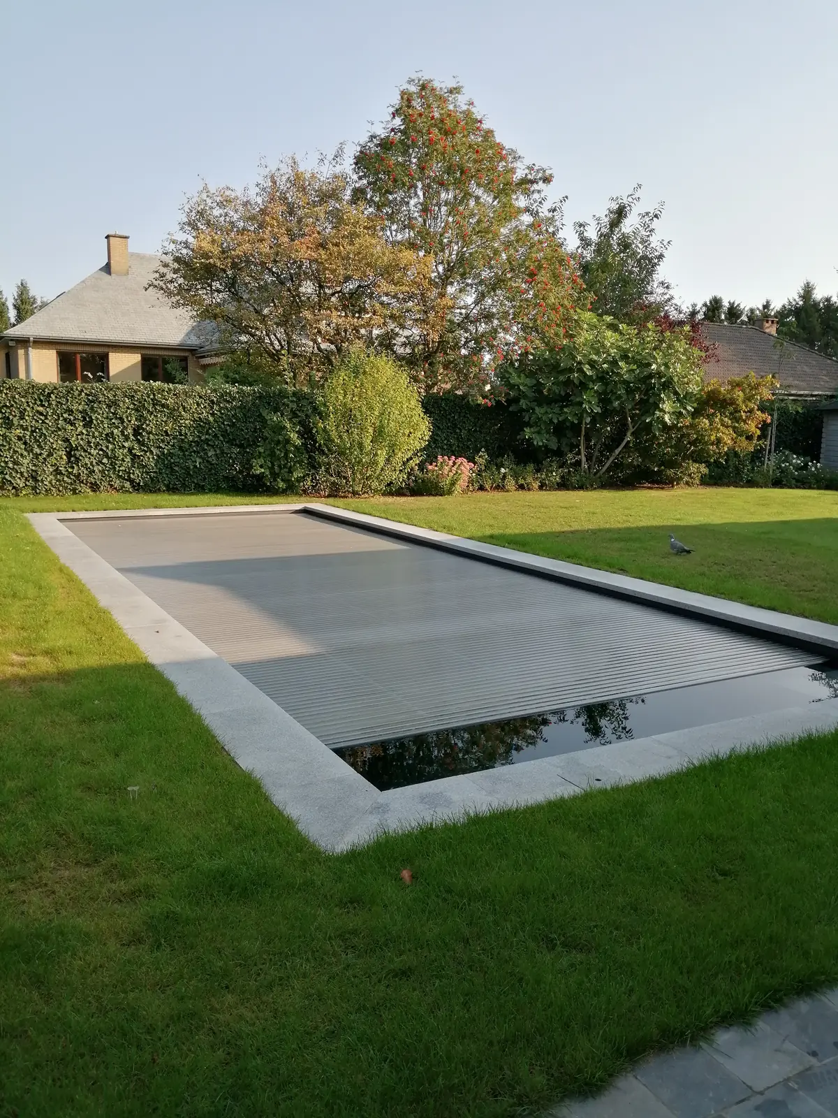 Zwembad in Overijse, donker zwembad in een groene tuin (foto 5 van 6)