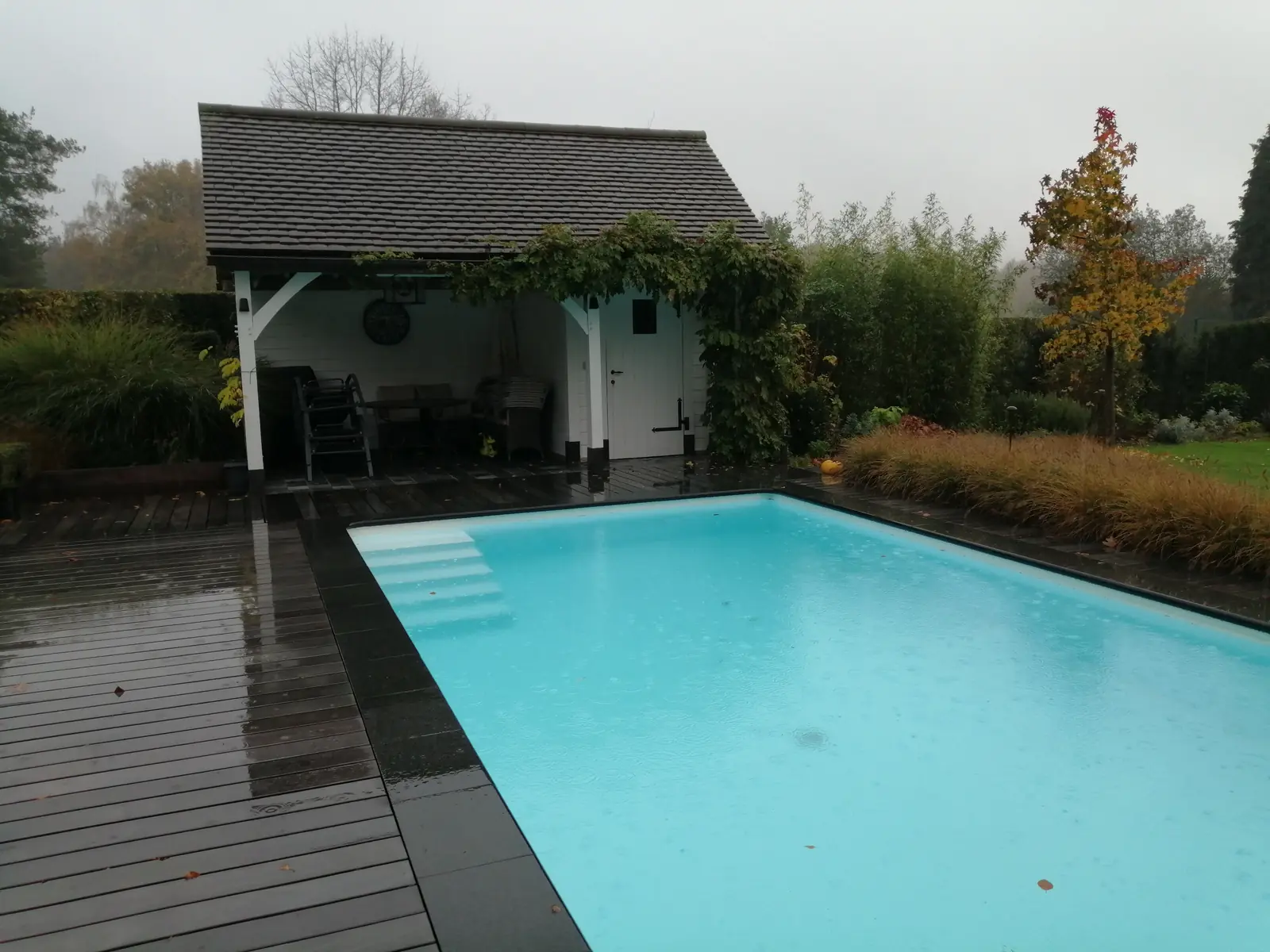 Zwembad in Overijse, met poolhouse en houten vlonder (foto 1 van 3)