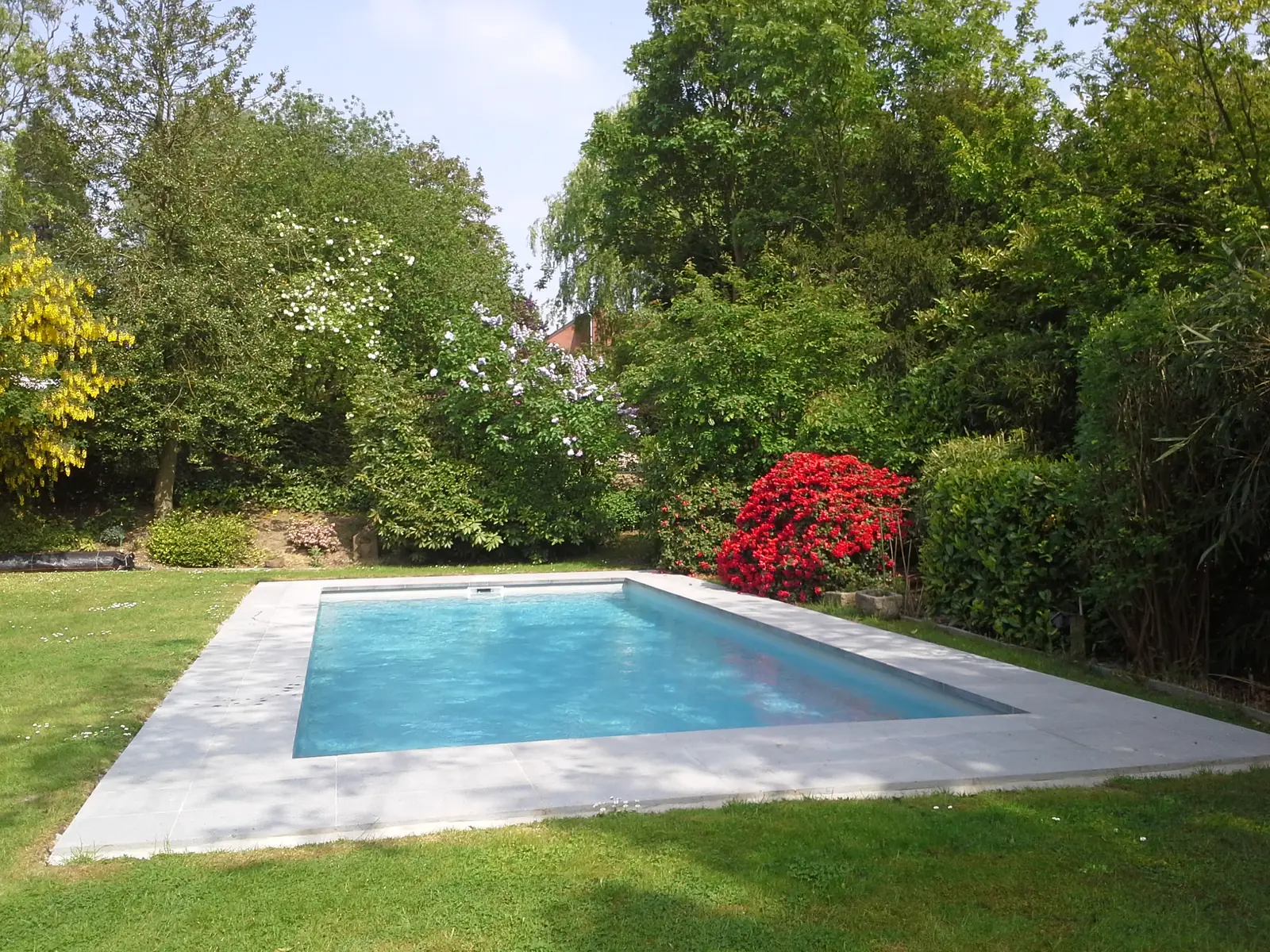 Zwembad in een bloeiende tuin (foto 1 van 3)