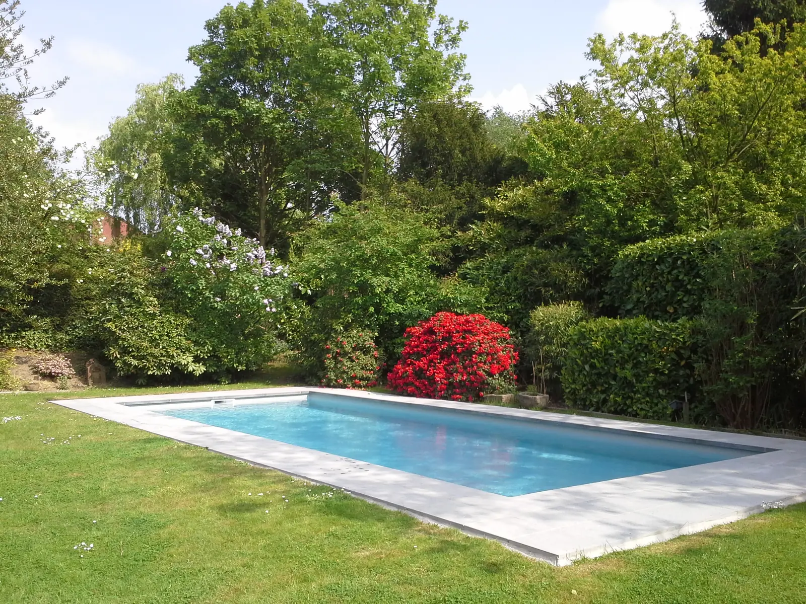 Zwembad in een bloeiende tuin (foto 3 van 3)