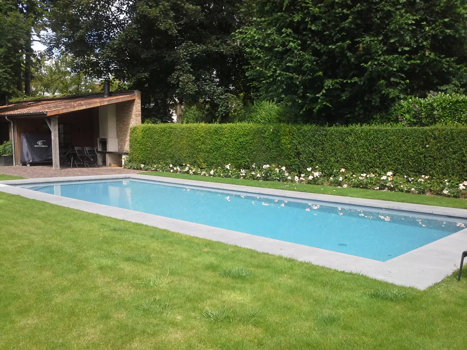 Strak zwembad in een grote tuin (foto 5 van 5)